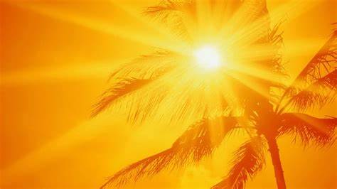 The Representation of the Sun Within Dreams: Light, Faith, Power, and Expectation